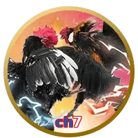 ch7