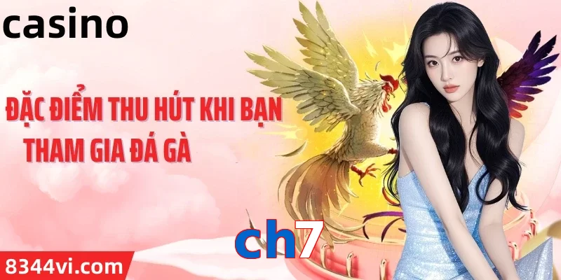 ch7